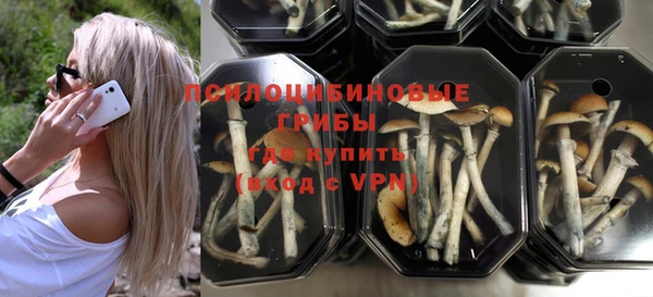 соль курить ск Алексеевка